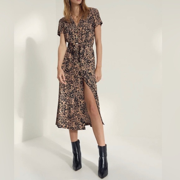 Wilfred Dresses & Skirts - Wilfred Leopard Print Midi Dress